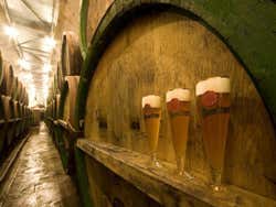 Pilsen Urquell, birrificio